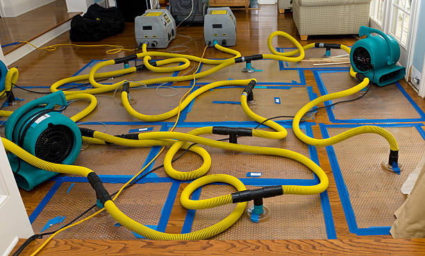 Professional Burst Pipe Water Damage technician working in Lone Oak, TX